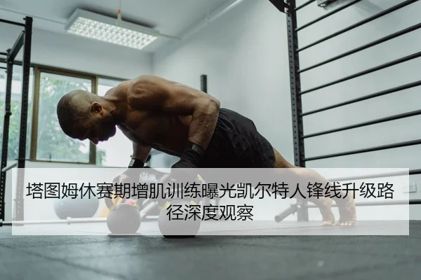 塔图姆休赛期增肌训练曝光凯尔特人锋线升级路径深度观察