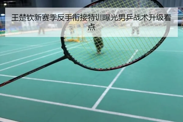 王楚钦新赛季反手衔接特训曝光男乒战术升级看点